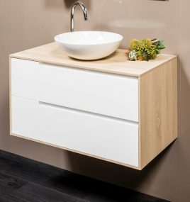 RADLEY 600 WALL HUNG VANITY & COOPER  BASIN