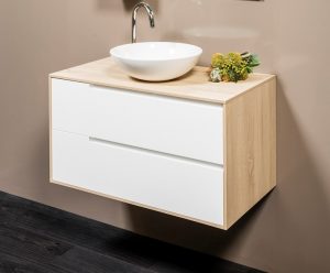 RADLEY 600 WALL HUNG VANITY & COOPER  BASIN